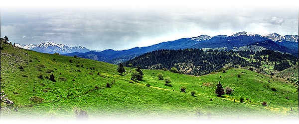 orini-oiti600_113506_43DZ2S