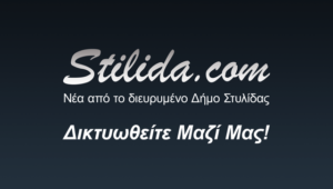 logo_wb_stilida.com copy