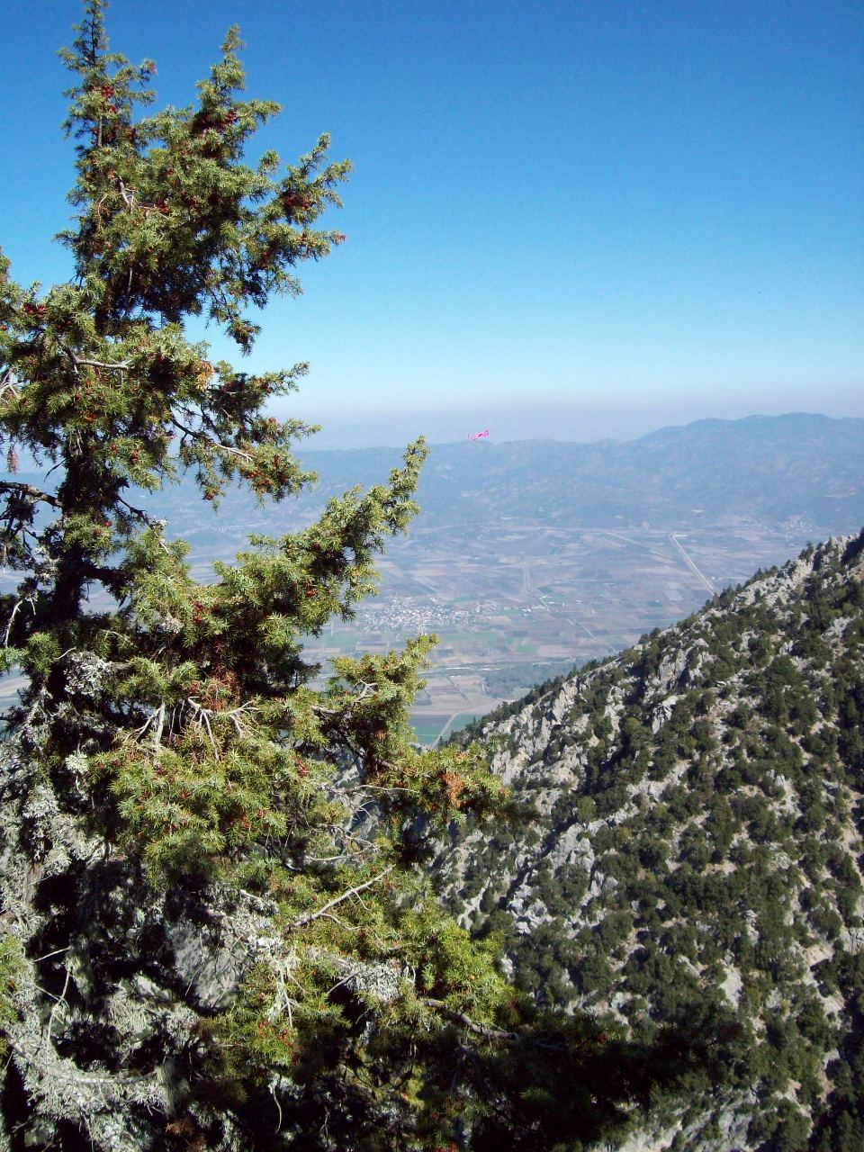 7Η ΕΜΑΚ ΔΙΑΣΩΣΗ ΣΚΥΛΟΥ ΟΙΤΗ (5)