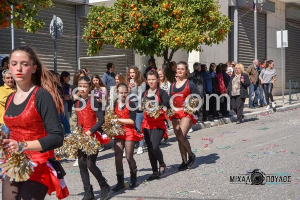 MEF_2293