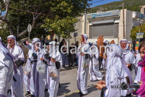 MEF_2393