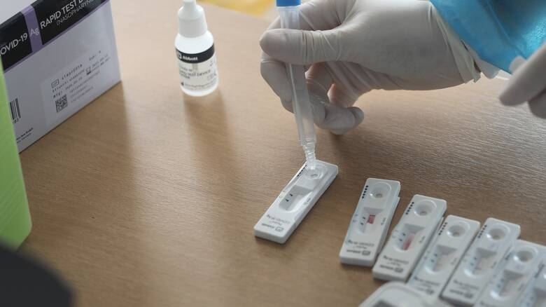 rapid test
